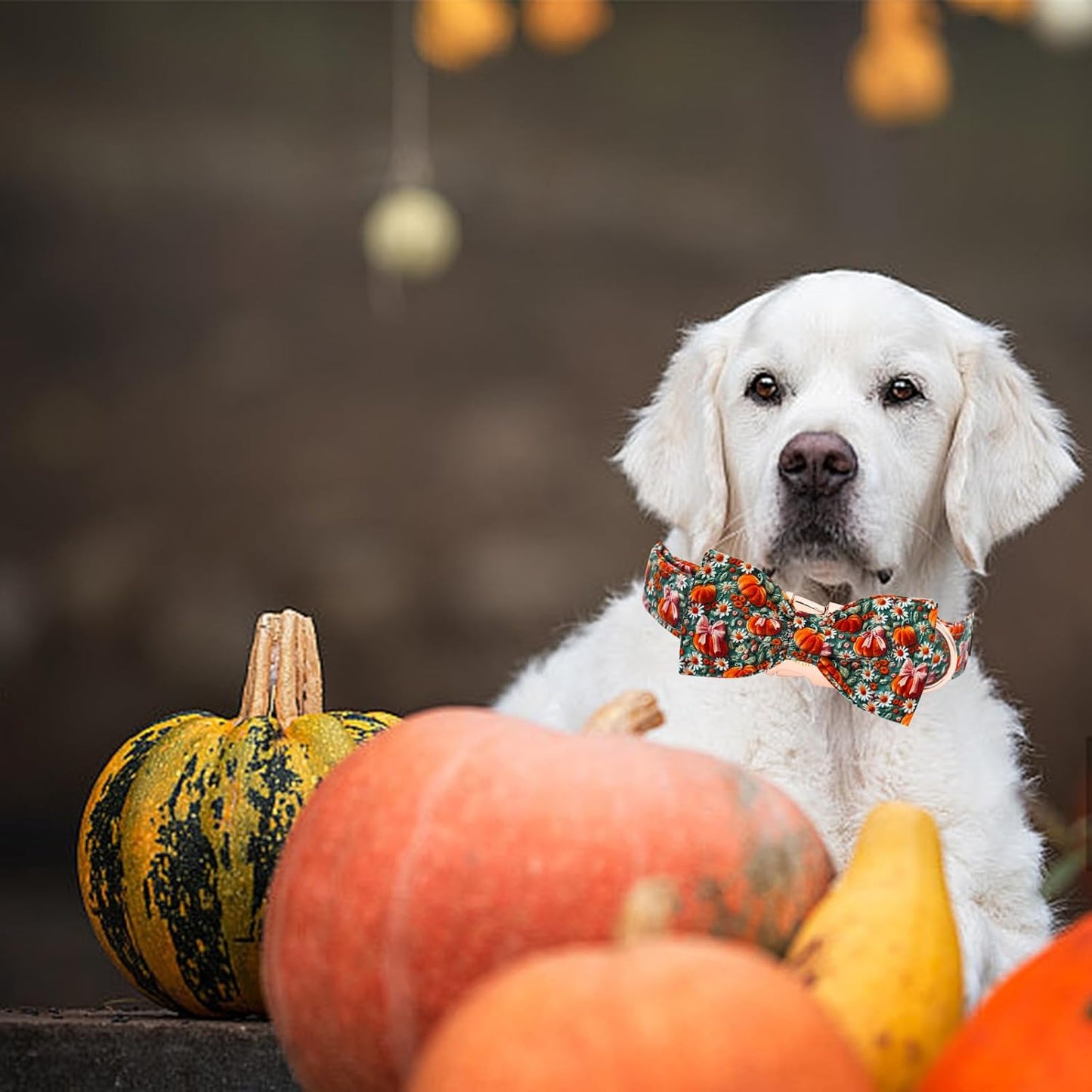 Fall Dog Collar, Halloween Pet Collars with Bow Cute Flower Pumpkin Print Puppy Collar Female or Male Cotton Adjustable Collars for Small Medium Large Dogs