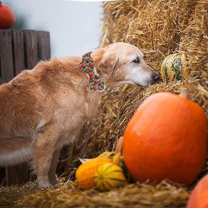 Fall Dog Collar, Halloween Pet Collars with Bow Cute Flower Pumpkin Print Puppy Collar Female or Male Cotton Adjustable Collars for Small Medium Large Dogs